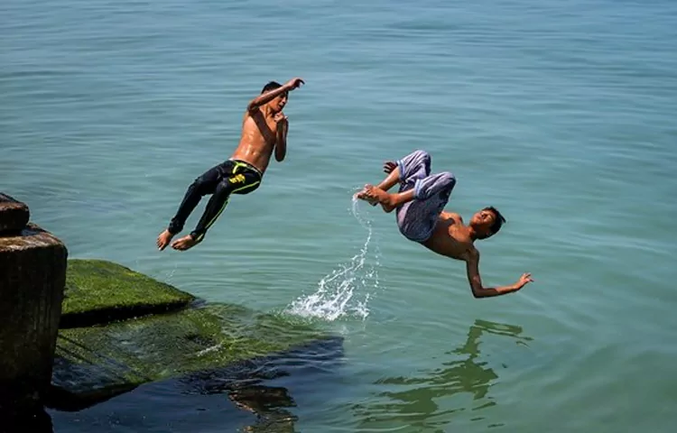 سواحل بوشهر