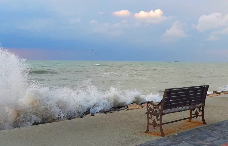 سواحل بوشهر