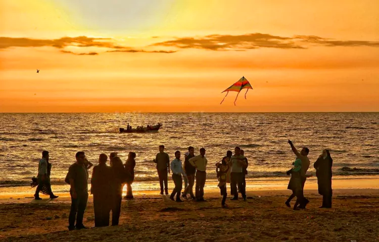 سواحل بوشهر