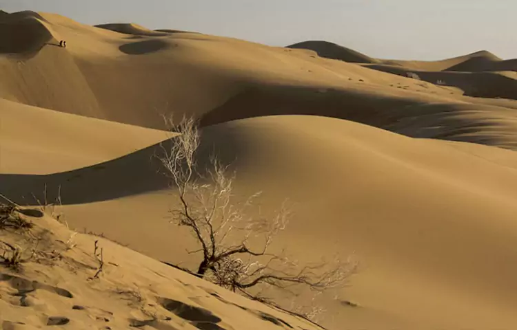 جاهای دیدنی طبس