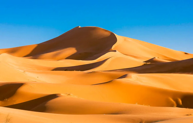 کویر کاراکال