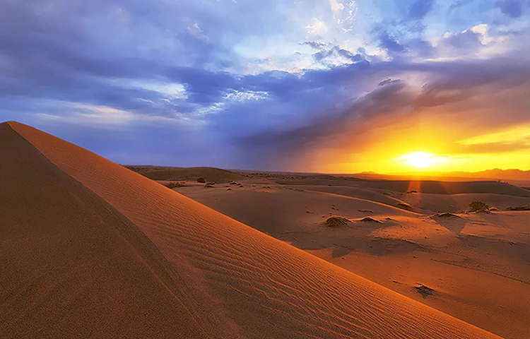 کویر کاراکال