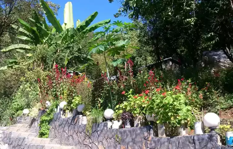 ییلاق سوئه چاله ماسال