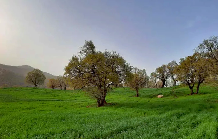 آبشار نوژیان