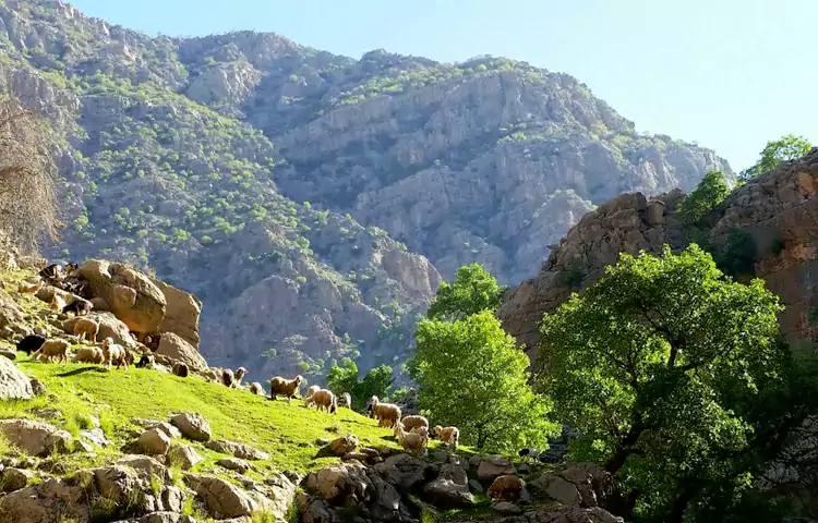 منطقه شیمبار خوزستان