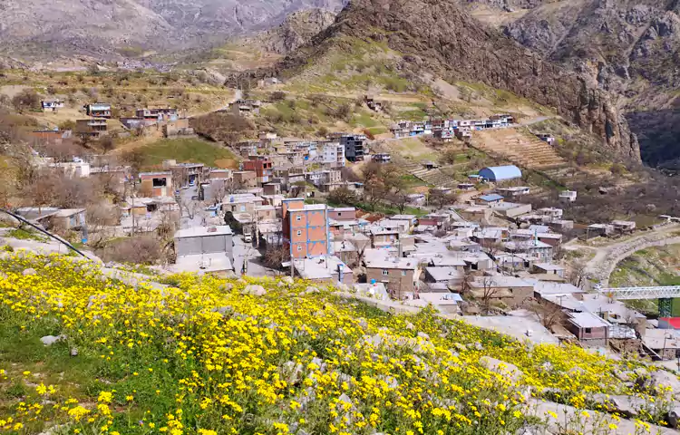 روستای سلین