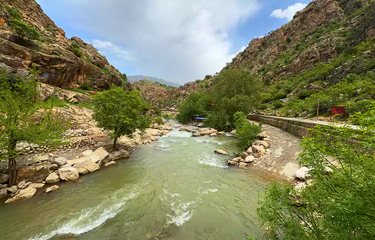 رود سیروان