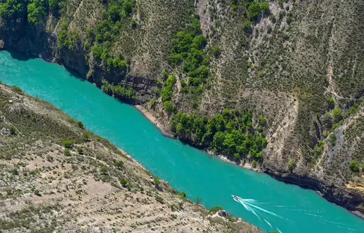 ماهیگیری