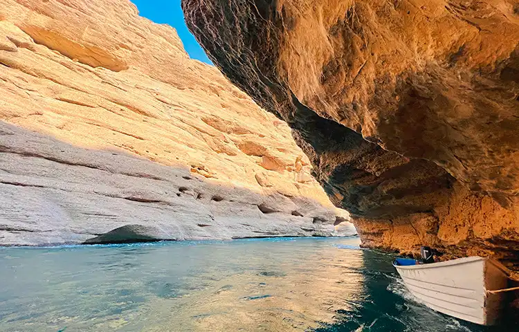 توبیرون دزفول