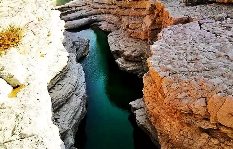 توبیرون دزفول