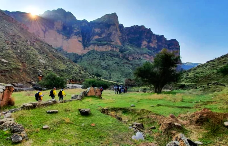 توبیرون دزفول