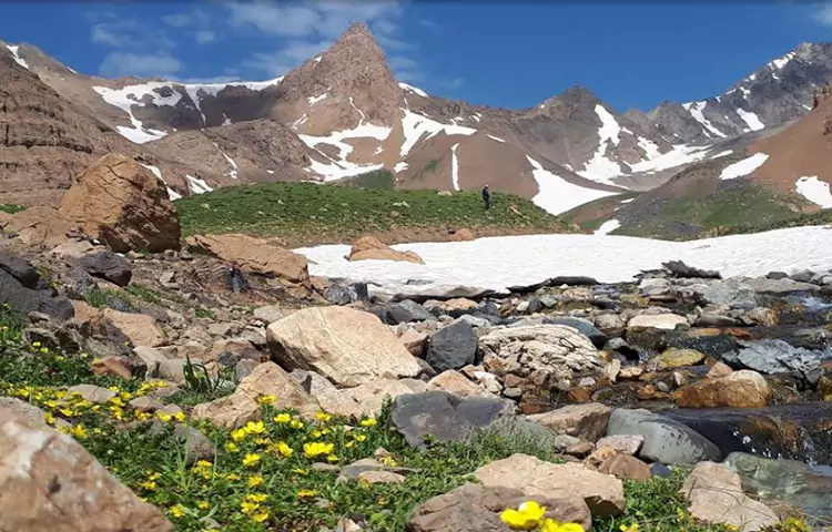 علم&zwnj;کوه