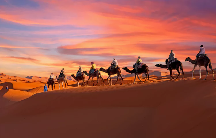 صحرای بزرگ آفریقا