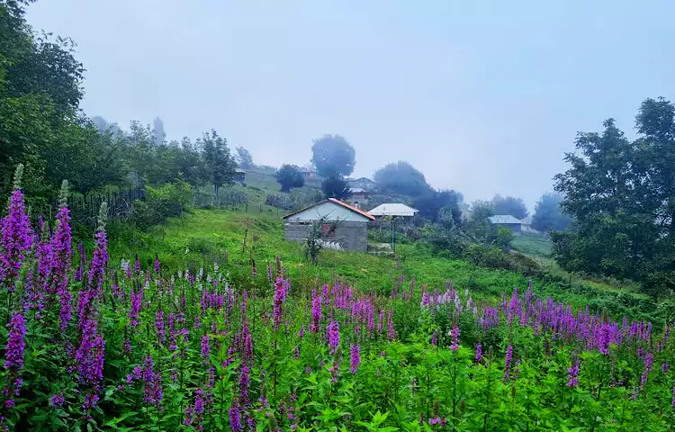 ییلاق دو خاله کوه