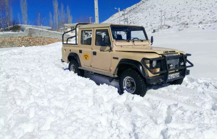 پاژن V6