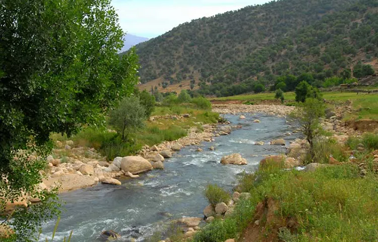 پارک ملی تنگ صیاد