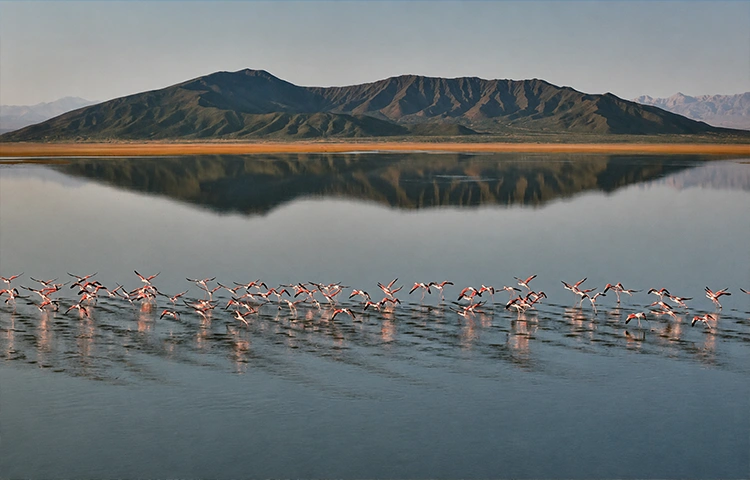 تالاب گاوخونی