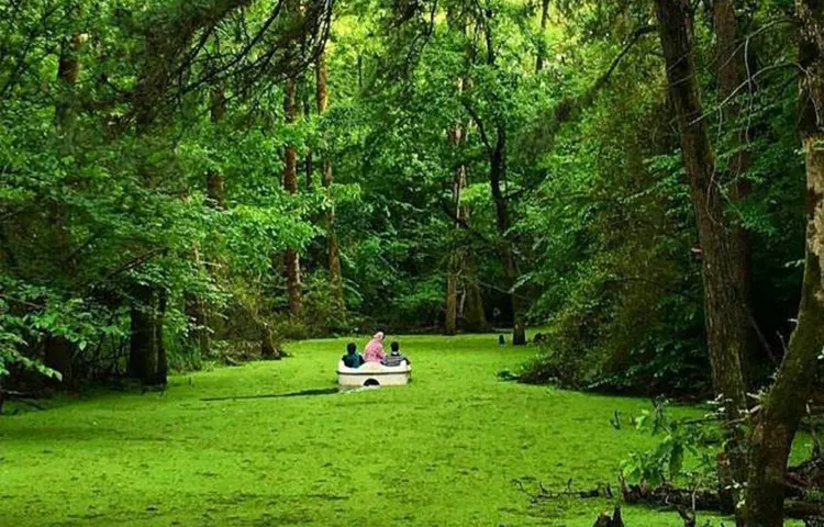 پارک جنگلی سراوان