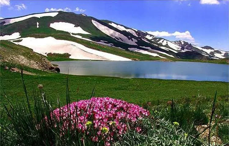 دریاچه دالامپر