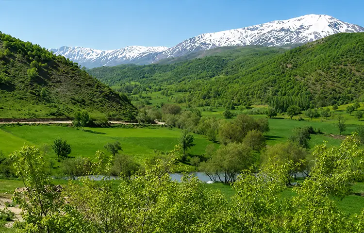 دشت چالدران