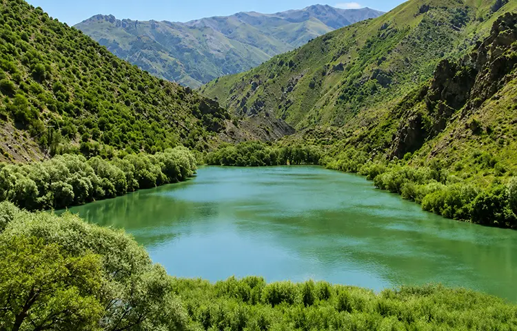 پوشش گیاهی دریاچه ارومیه