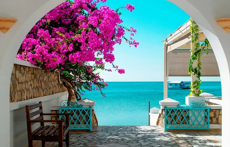ویزای فوری تونس