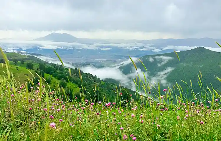 دسترسی به دشت سلانسر