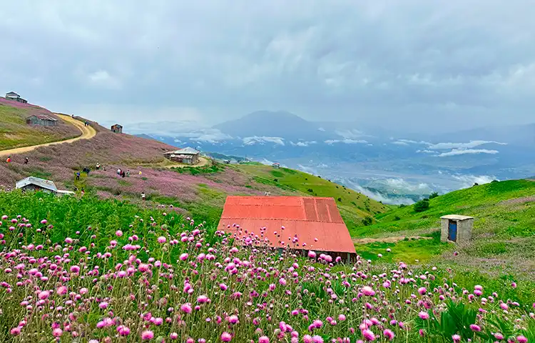 بهترین زمان سفر به سلانسر