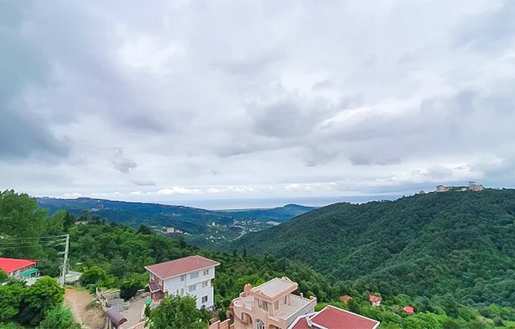 جنگل دالخانی