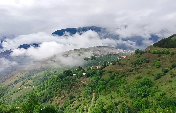 مسیر دسترسی به جنگل دالخانی