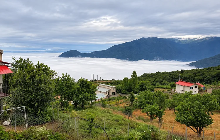 طبیعت جنگل دالخانی