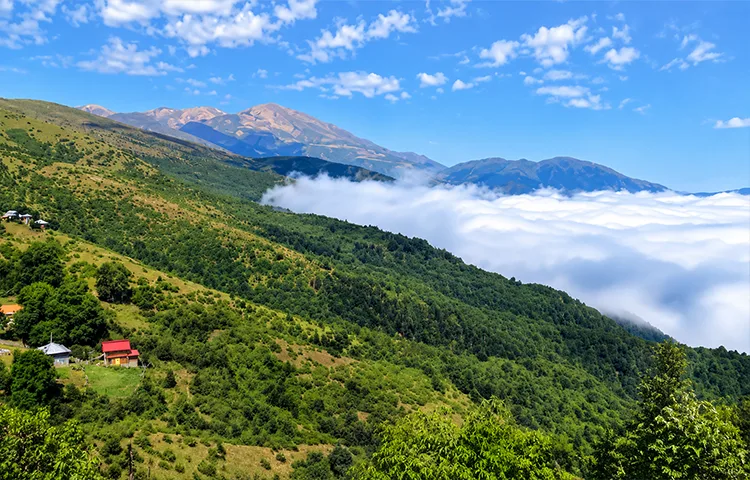 بهترین زمان سفر به جنگل دالخانی