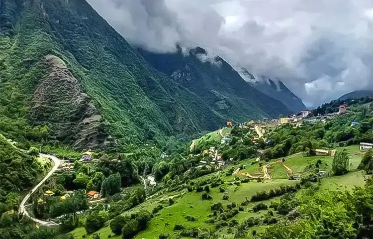 جنگل دوهزار