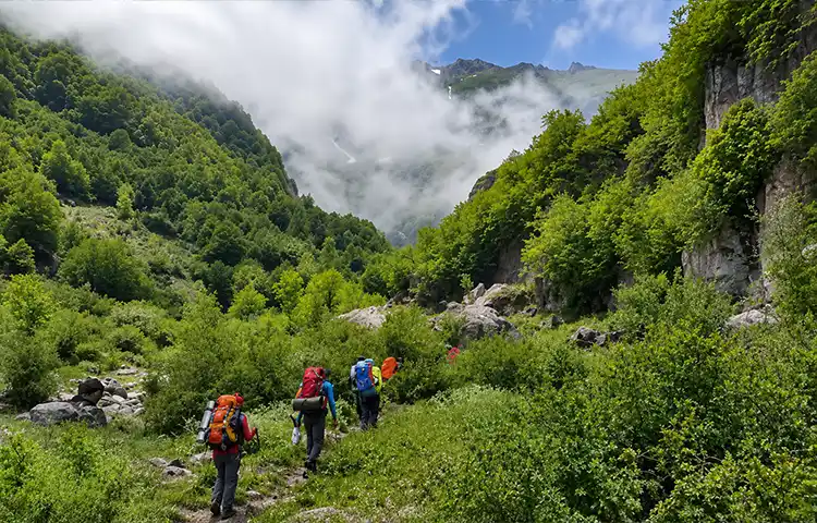 جنگلنوردی