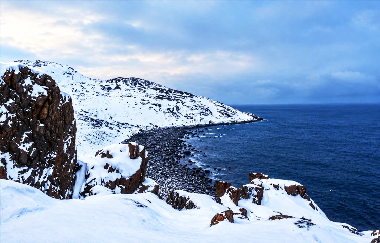 دریای بارنتز