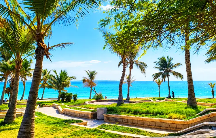 پارک زیتون قشم کجاست؟