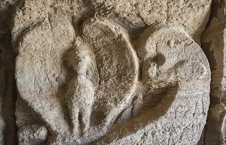 یافته&zwnj;های باستان&zwnj;شناسی غار خربس