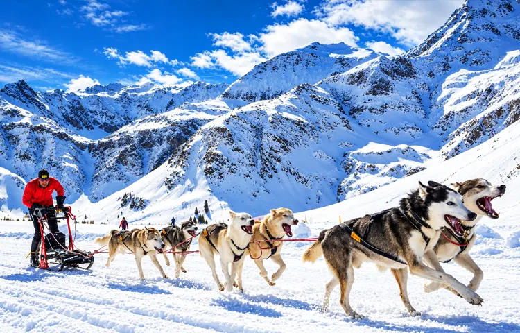 سورتمه سواری با هاسکی