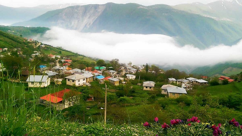 جنگل دالخانی از زیباترین جنگل های ایران