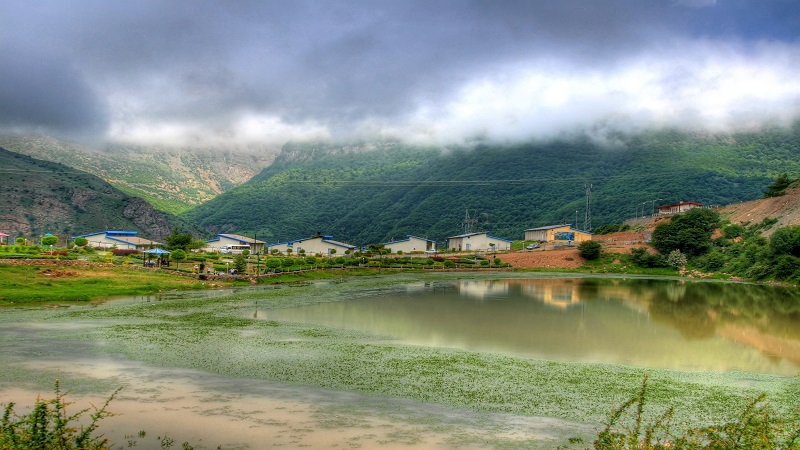 جنگل سیاه بیشه از زیباترین جنگل های ایران