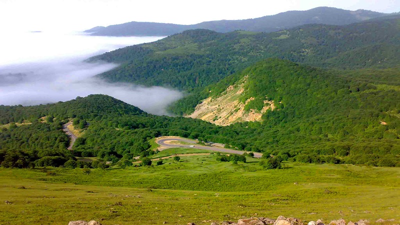  جنگل سیاهکل از زیباترین جنگل های ایران