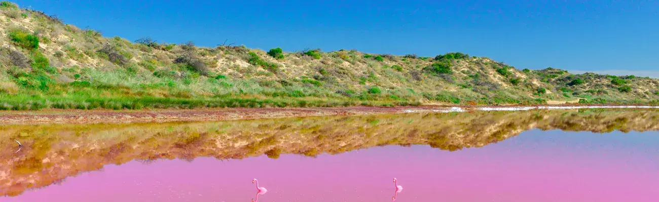 دریاچه صورتی چابهار؛ رؤیایی رنگی در دل طبیعت جنوب