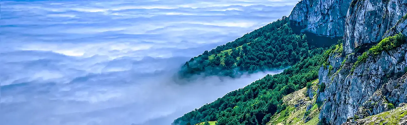 اوپرت کجاست؟ راهنمای سفر به مرز جنگل و کوه در شمال ایران
