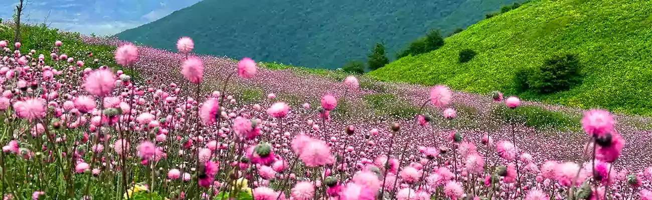 دشت سلانسر؛ ییلاقی بر فراز ابرها در ارتفاعات رودبار
